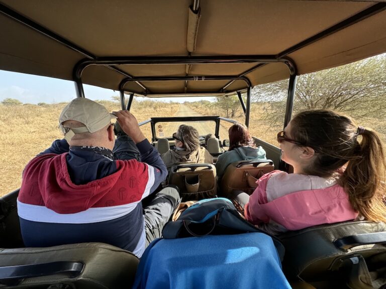 Safari nel parco kruger in sudafrica con una jeep aperta e persone di spalle sulla jeep