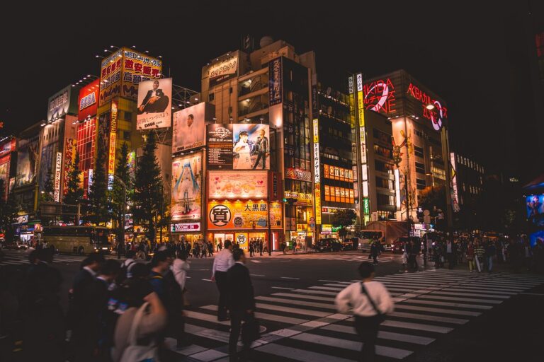 Giappone città di notte